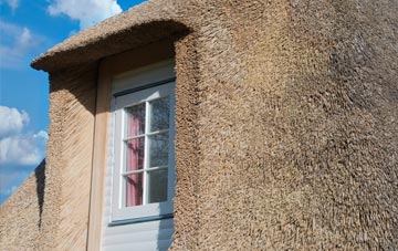Swinister thatch roof disadvantages